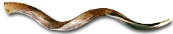 Polished - Yemenite Shofar